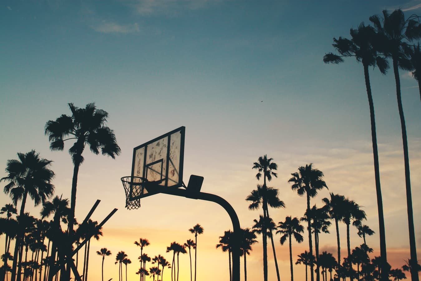 Header Image